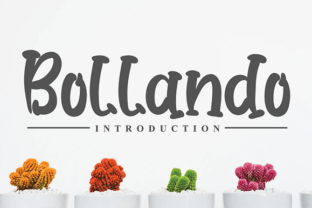Bollando: A Classy Display Font for Professional Branding