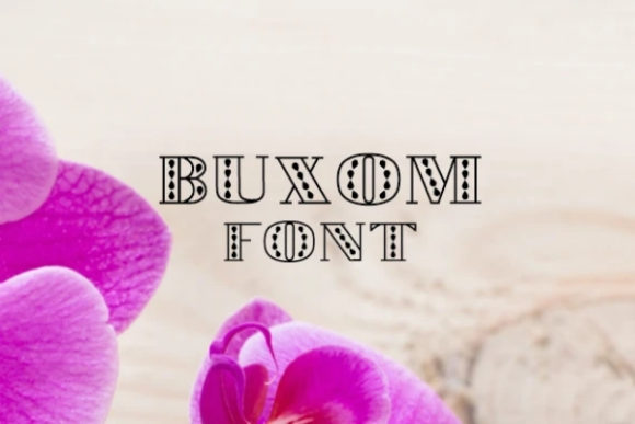 Buxom Font: A Bold Display Typeface for Modern Editorial Design