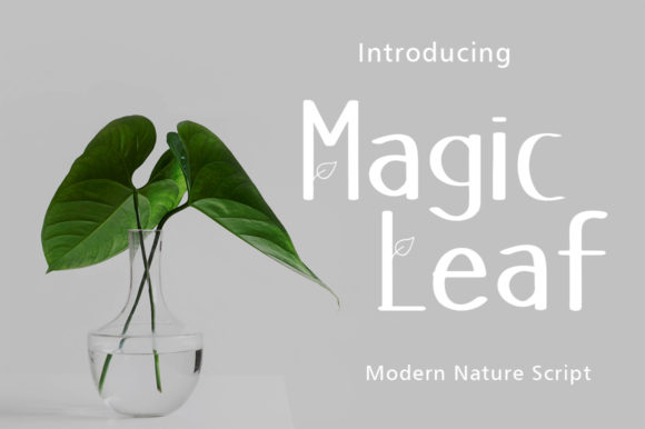 Magic Leaf: A Versatile Display Font for Creative Projects