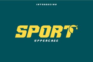 Sport Font for Bold Branding and Modern Design